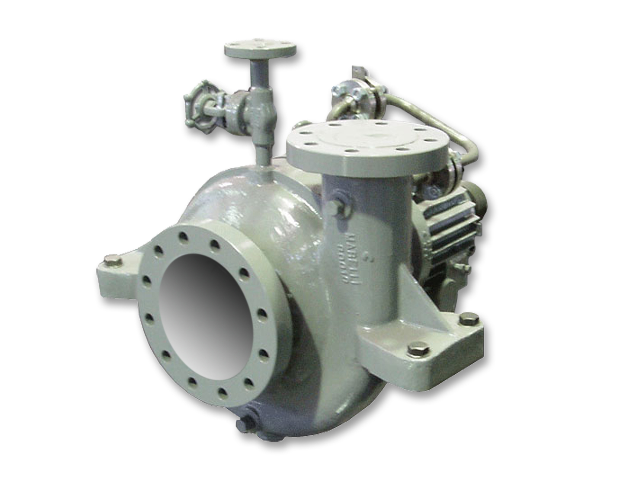 Sundyne Marelli API610 pompalar
